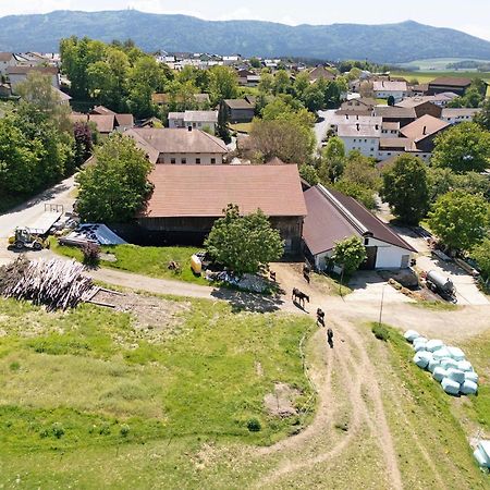 Ferienhof Schuetz Eschlkam ภายนอก รูปภาพ